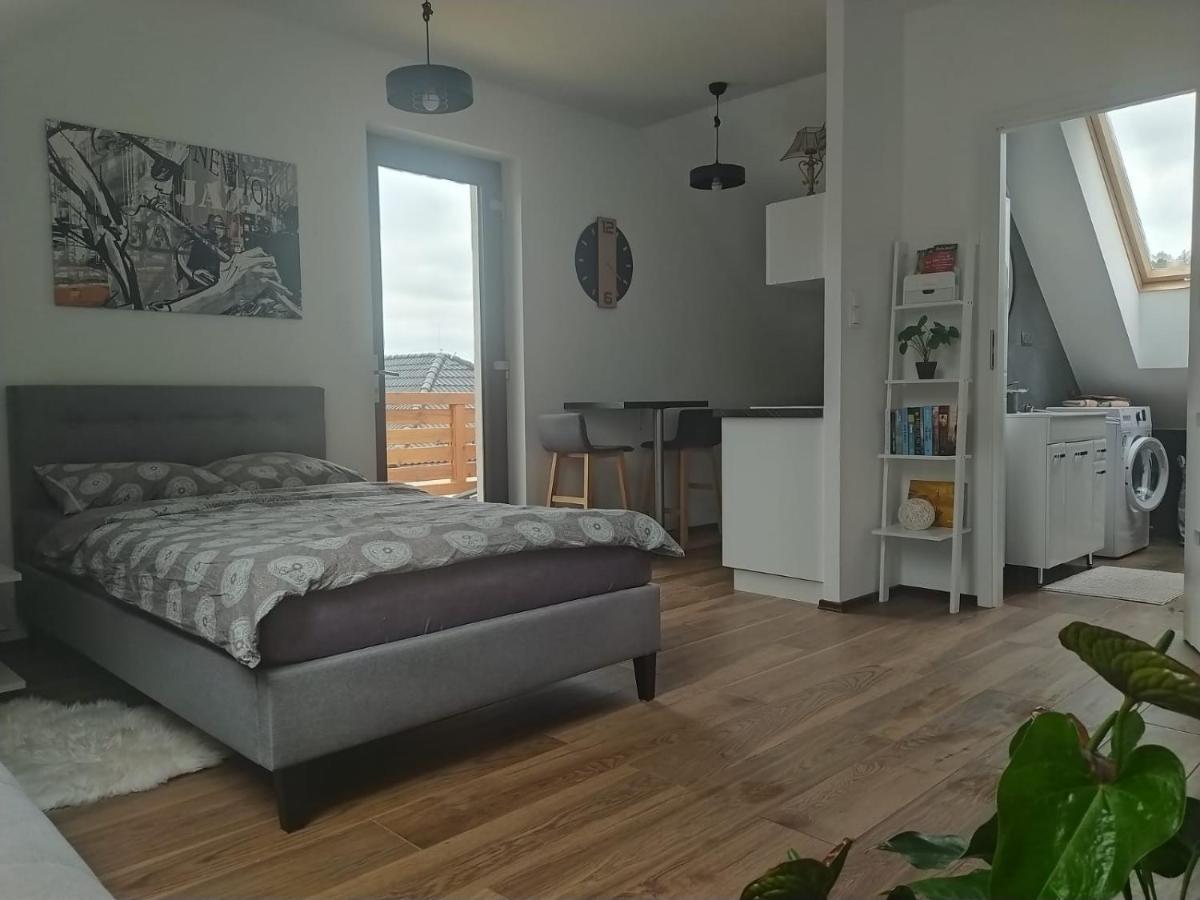 Apartament Muzyczny 耶莱尼亚古拉 外观 照片